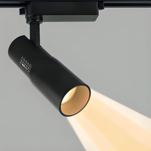 LED Adjustable Spotlight Ceiling or Track Light Zoomable Beam High CRI Indoor Lighting