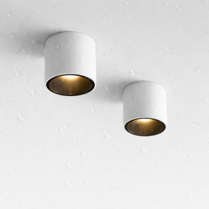 Modern LED Ceiling Light Fixture, Waterproof Surface Mount Downlight Cylinder Spotlight, Flush Mount Ceiling Light